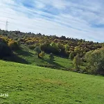 Nyaraló Forest 2024 *