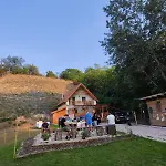 Forest 2024 Nyaraló