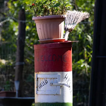 度假居 Forest 2024 *