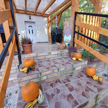 Forest 2024 * Lábatlan