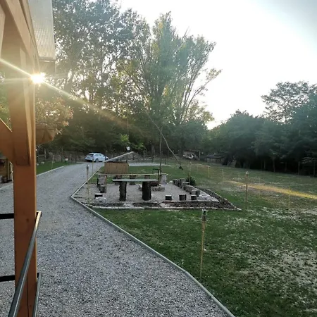 Semesterbostad Forest 2024 *