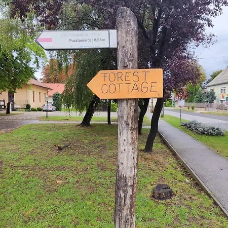 Forest 2024 Lábatlan