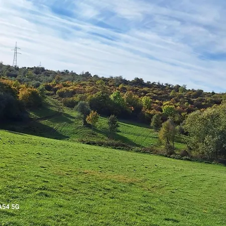 Σπίτι διακοπών Forest 2024 *