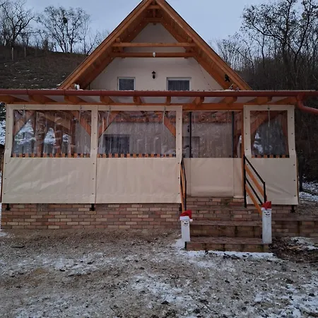 Forest 2024 度假居 *