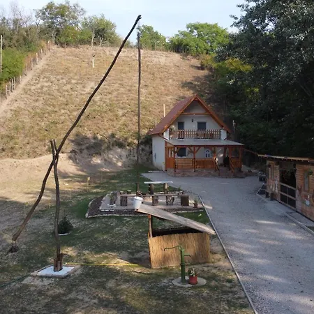 Forest 2024 * Lábatlan