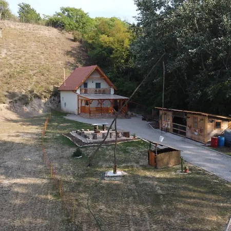 Forest 2024 Lábatlan