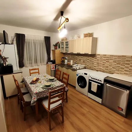 Forest 2024 度假居