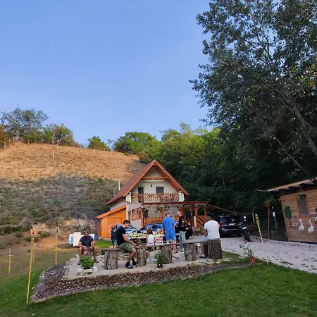 Forest 2024 度假居