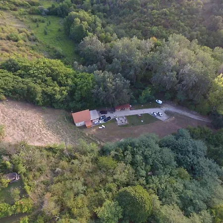 Forest 2024 Lábatlan