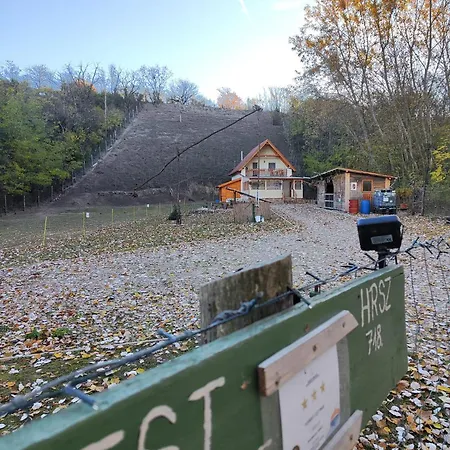 Forest 2024 * Lábatlan