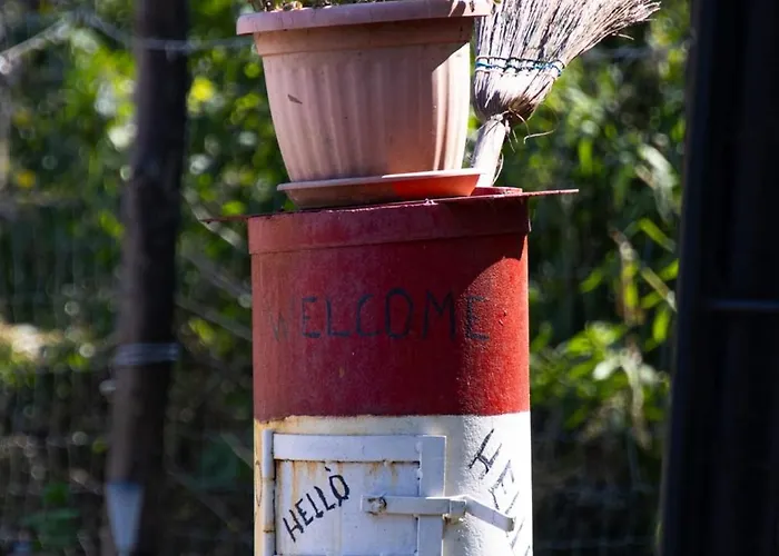 Feriehus Forest 2024 *