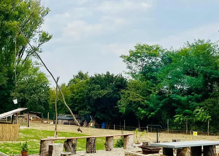 Forest 2024 Dom wakacyjny *