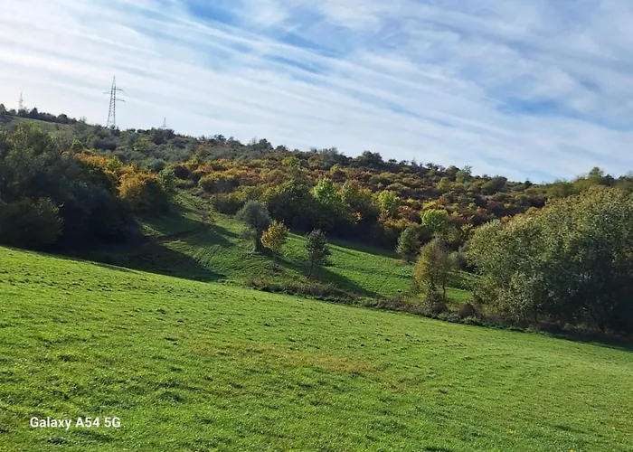 Feriehus Forest 2024 *