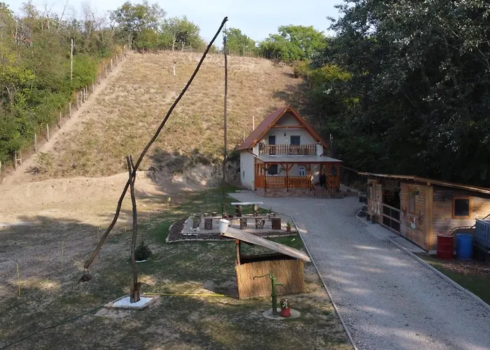 Forest 2024 * Lábatlan