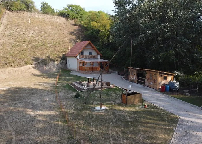 Forest 2024 Lábatlan