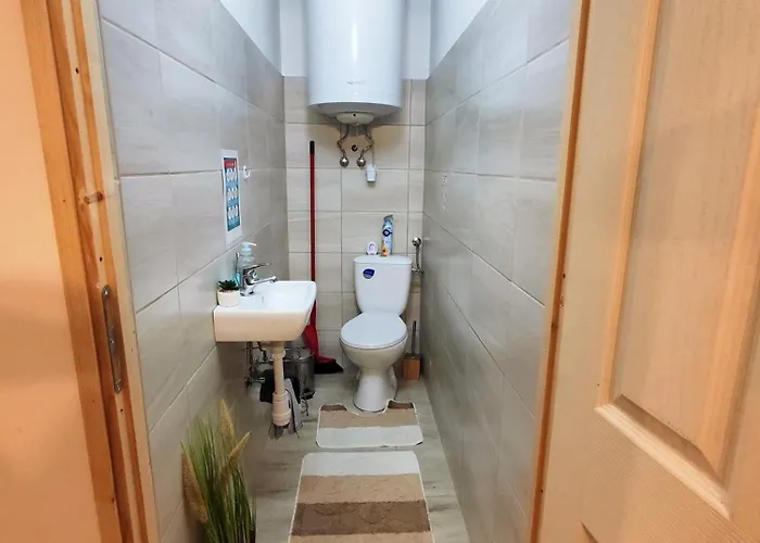 Forest 2024 Lábatlan