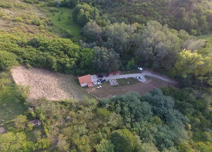 Forest 2024 Lábatlan