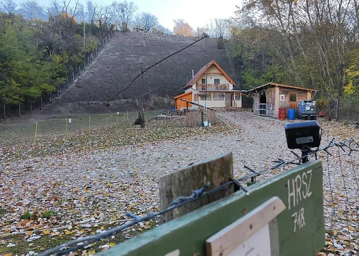 Forest 2024 * Lábatlan